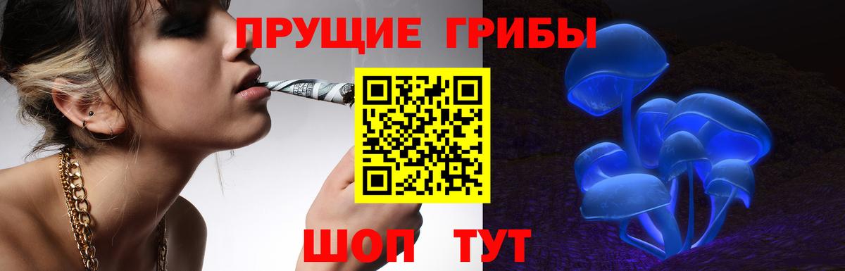 Галлюциногенные грибы прущие грибы Рассказово